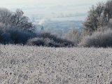 2022-12-15 - Bierberg (14)